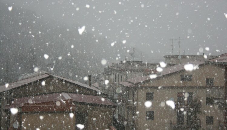 Neve Tortorici