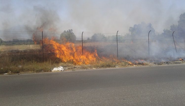 Incendio Catania 12 luglio brucia san francesco la rena e difficoltà traffico (2)