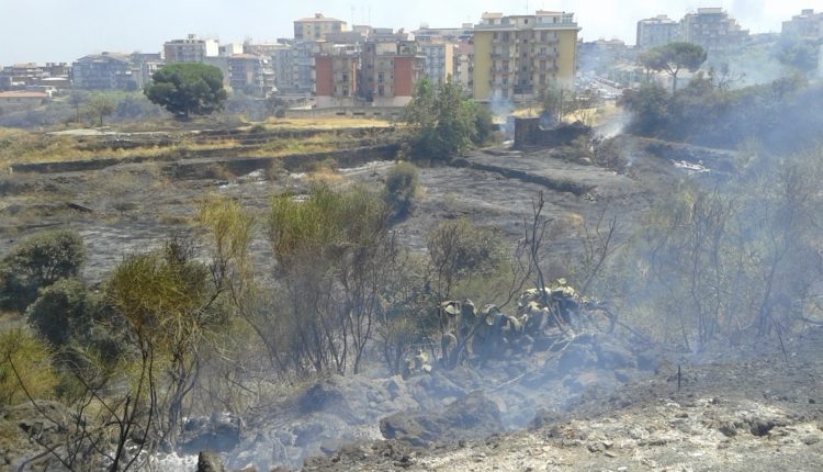 Incendio Ct 12 luglio brucia area tra cibali e viale rapisardi (2)
