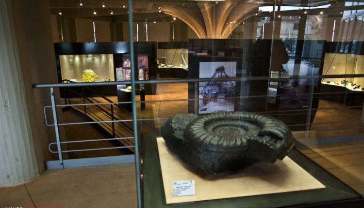 Caltanissetta Museo Mineralogico