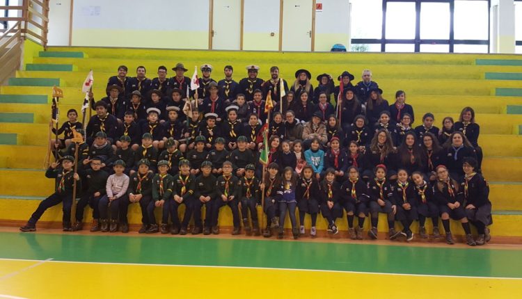 scout Tortorici (2)