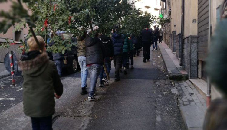 Alloro Tortorici 2018 (20)