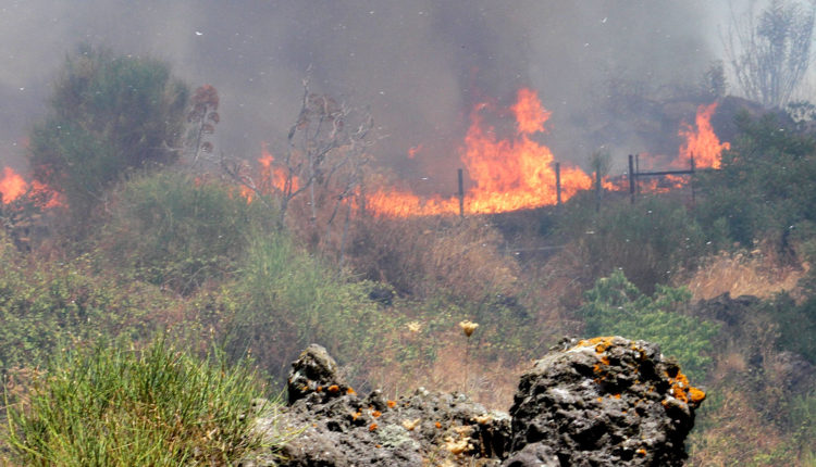 pericoli incendi a catania (1)