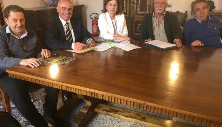 tassi, geraci,la rosa, schneider e nicoloso