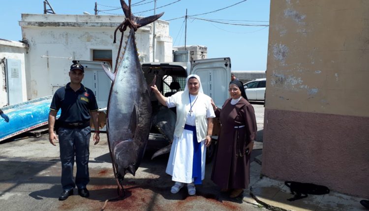 tonno rosso Palermo