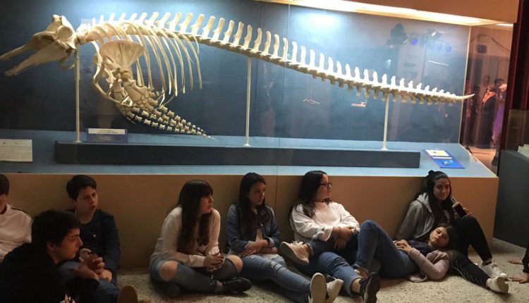 Una notte al museo di storia naturale11