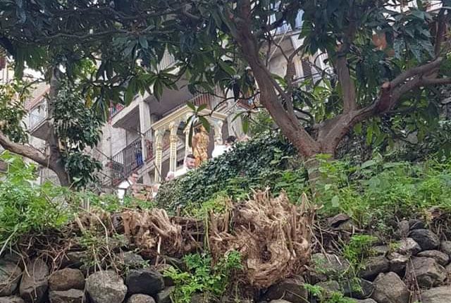 San Sebastiano fra gli alberi foto MELINA TIMPANARO