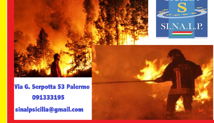 locandina sinalp forestali antincendio