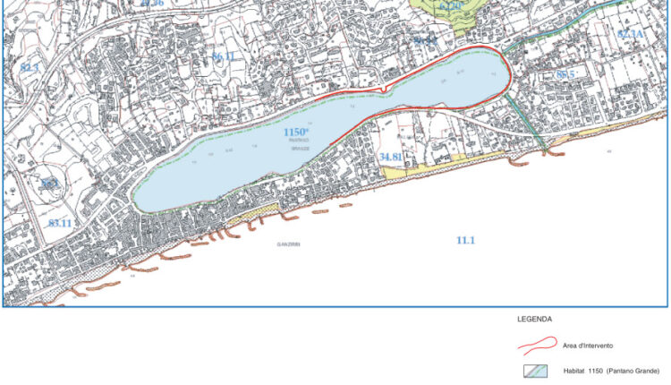 Area di intervento