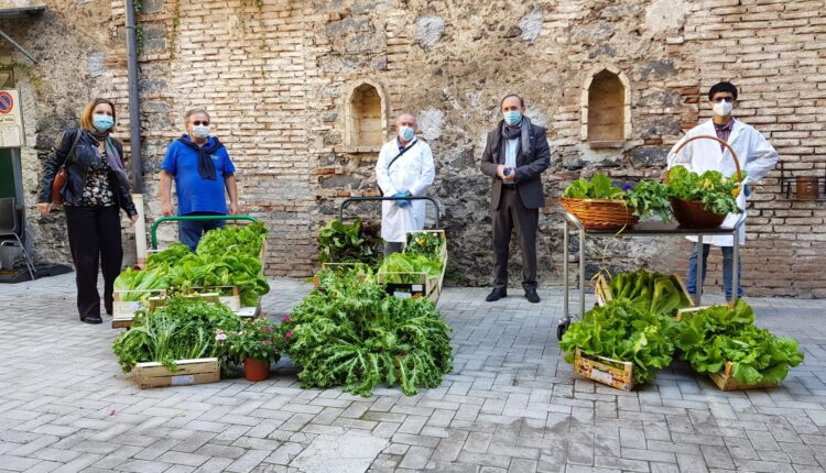 istituto Francesco Redi di Paternó, Belpasso e Biancavilla- orto solidarietà (1)