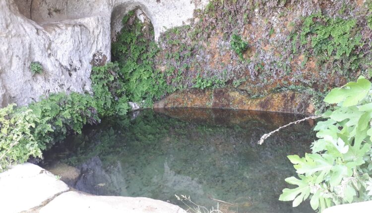 CASTRONOVO_Ninfeo di un complesso di grotte denominato Capelvenere