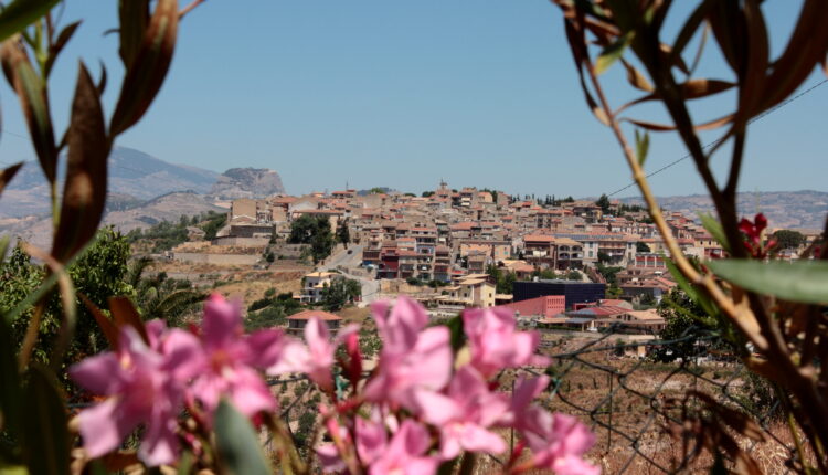 MONTEDORO_Panorama