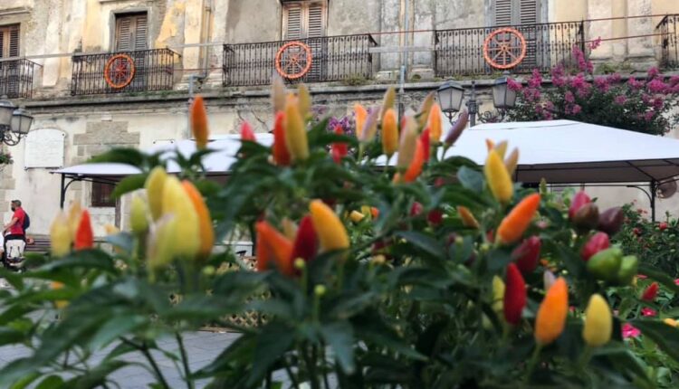 SAN PIERO PATTI_Piazza duomo- palazzo Orioles