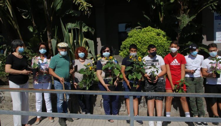 piantati i girasoli della legalità all’istituto fermi-eredia di catania (3)