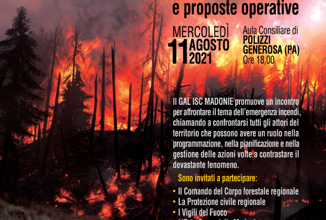 Emergenza incendi sulle Madonie. Dibattito e soluzioni operative. Se ne parla a Polizzi Generosa l’11 Agosto (1)