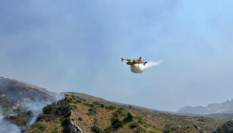 Vasto incendio a Polizzi Generosa. Colpito tra l’altro, il geosito del Manico della Padella Massiccia operazione di mezzi aerei e squadre antincendio