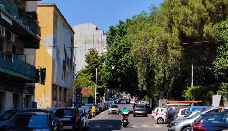 potatura alberi via sassari