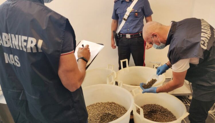 sequestro capperi