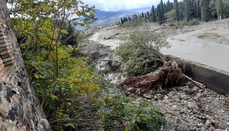 Interi alberi sradicati a ridosso del Castello Nelson