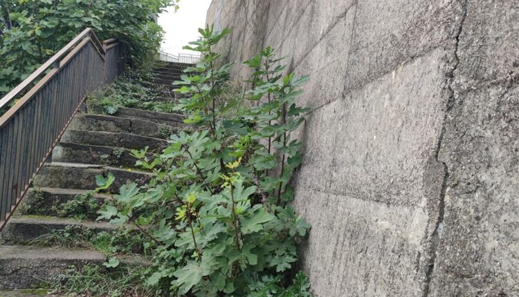 cimitero Tortorici