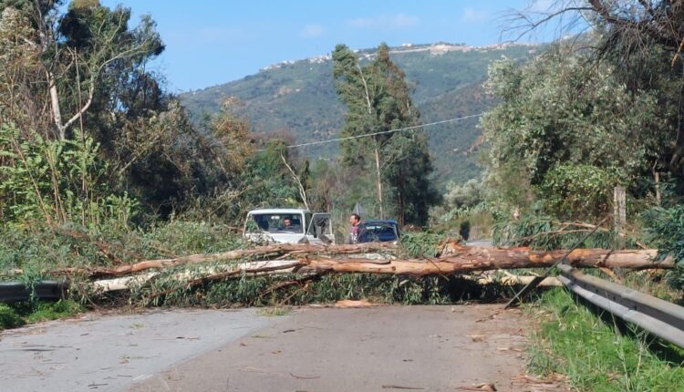 strada Tortorici