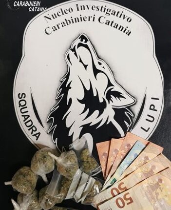 droga Lupi