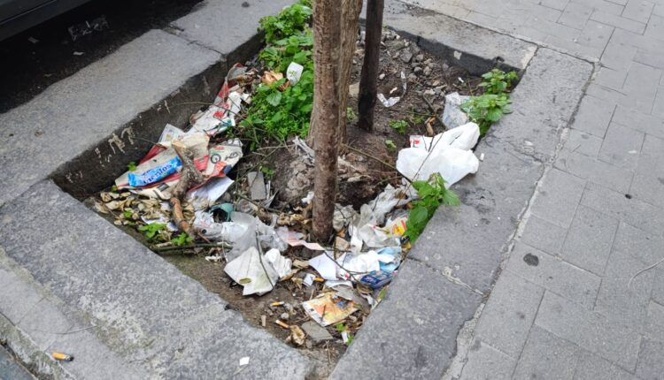 spazzatura nele strade (1)