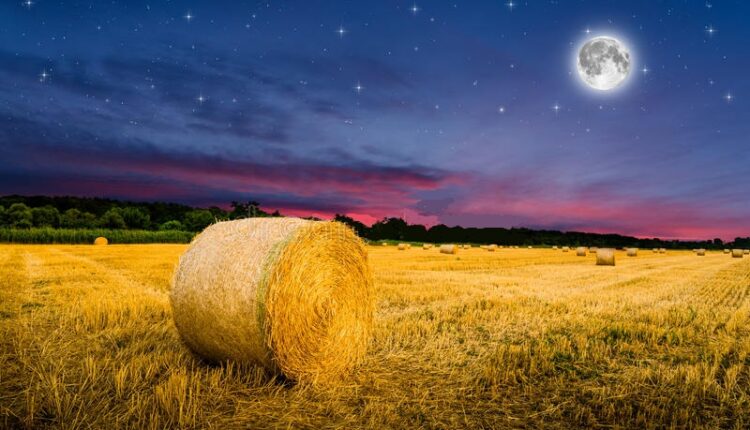 Notte Agricoltura