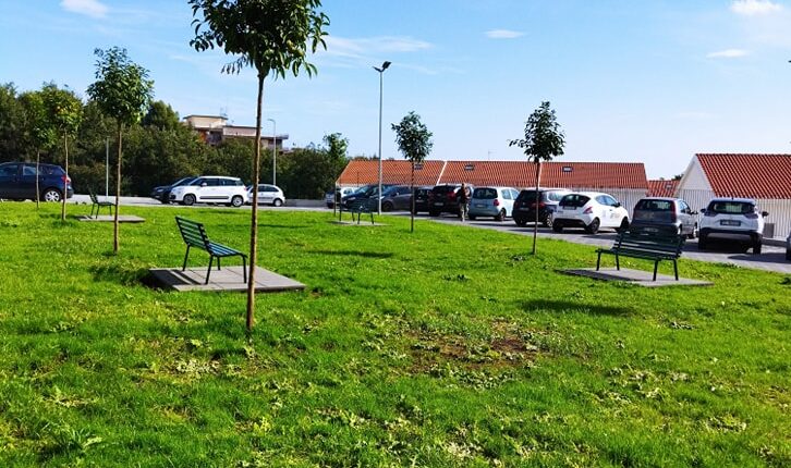 verde-pubblico-in-piazza-sant’antonio-di-padova