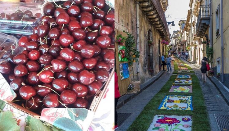 Ciliegie SantAlfio + infiorata-IMG-20230701