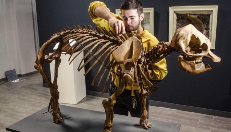 prof. Dawid Adam Iurino, paleontologo